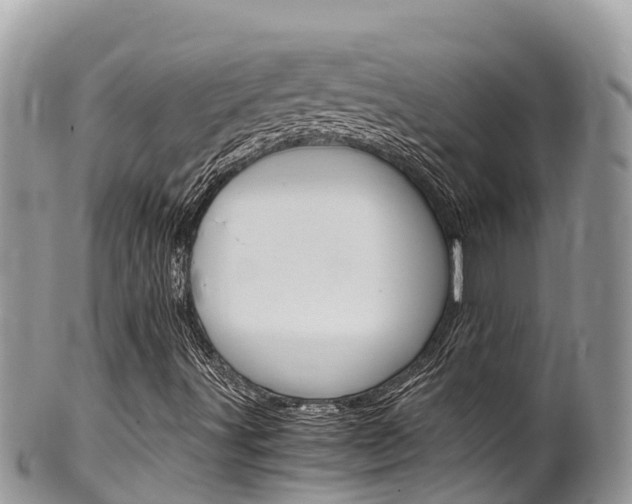 X0000100491491200806130743