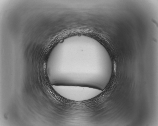 X0000100491492200806130743