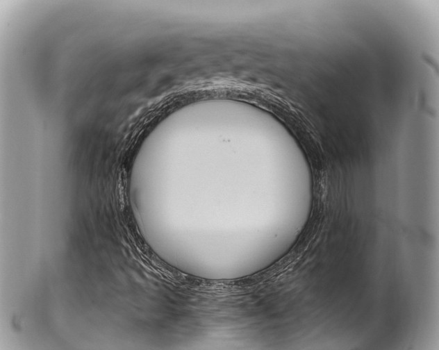 X0000100491493200806130743