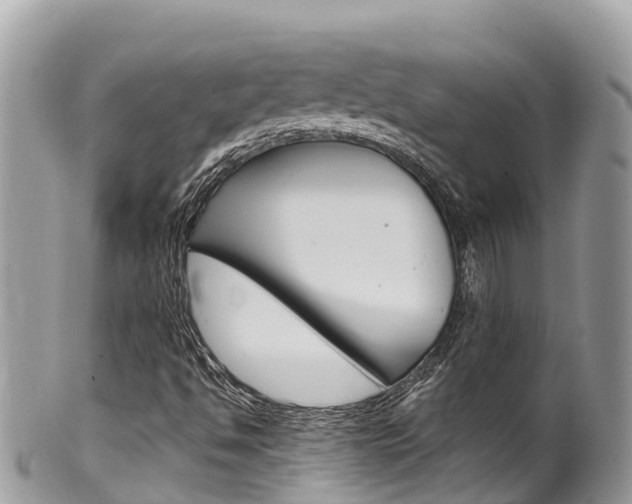 X0000100491494200806130743