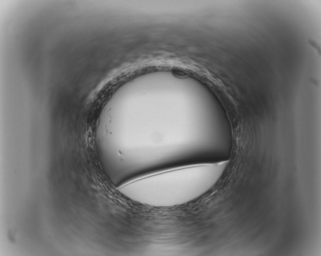 X0000100491495200806130743