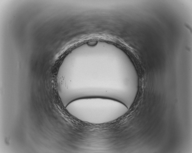 X0000100491496200806130743
