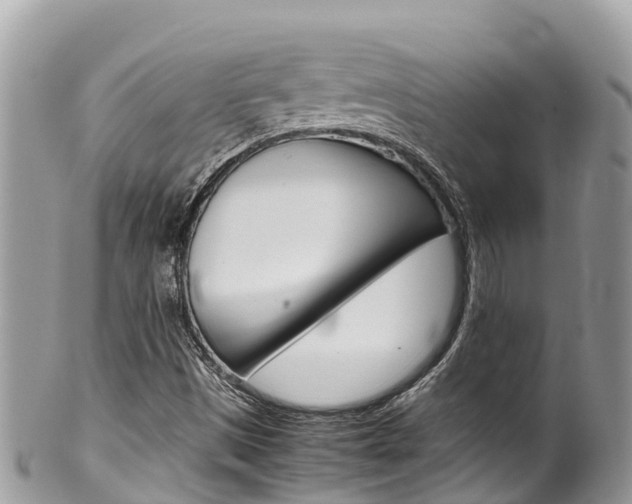 X0000100491497200806130743