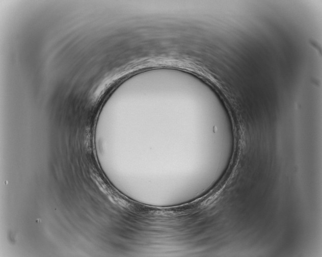 X0000100491499200806130743