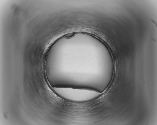 X0000100491500200806130743