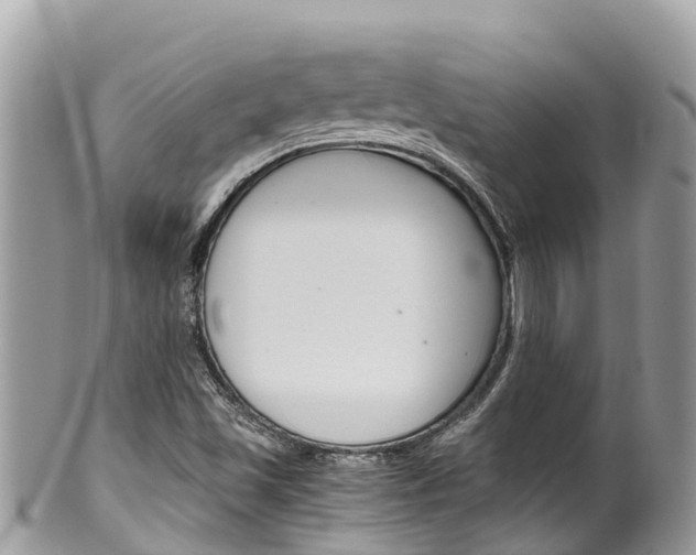X0000100491501200806130743