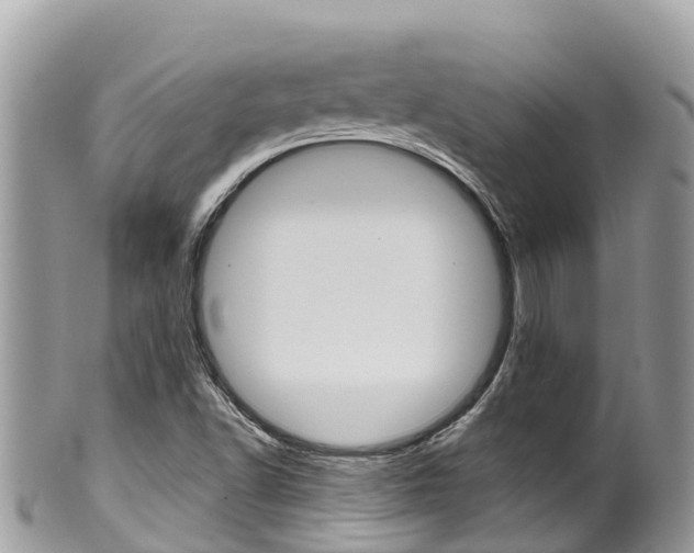 X0000100491502200806130743