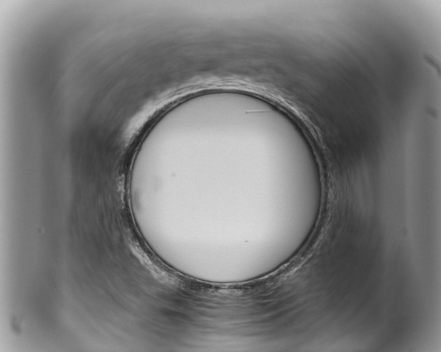 X0000100491503200806130743