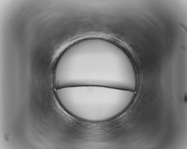 X0000100491504200806130743