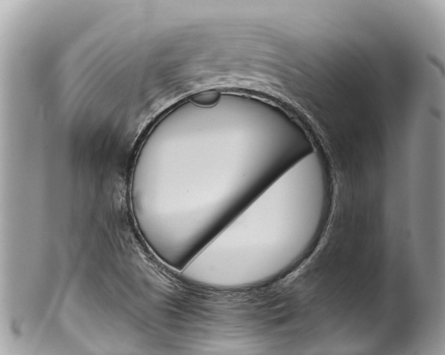 X0000100491505200806130743