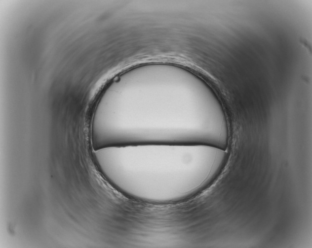 X0000100491506200806130743