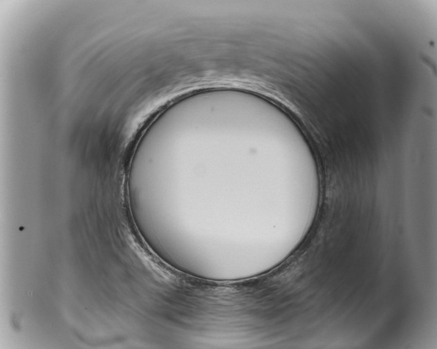 X0000100491507200806130743