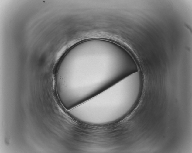 X0000100491509200806130744