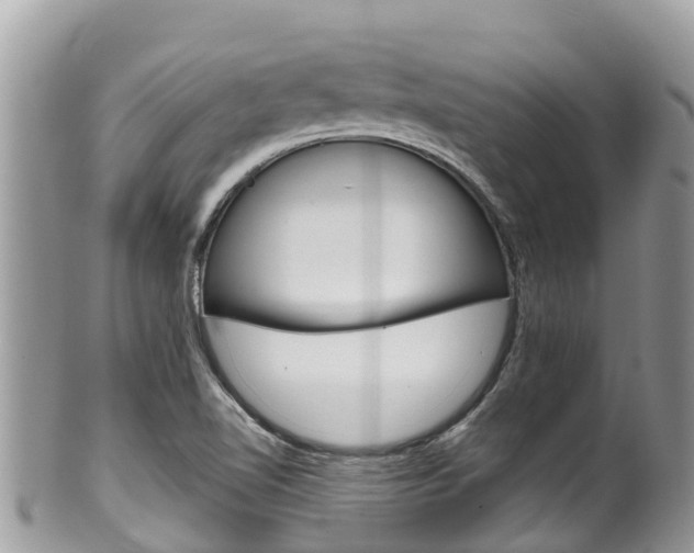 X0000100491510200806130744
