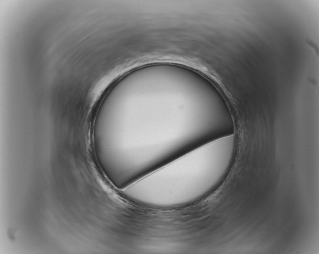 X0000100491511200806130744