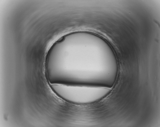X0000100491512200806130744