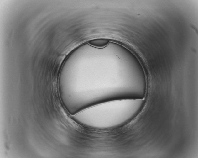 X0000100491513200806130744