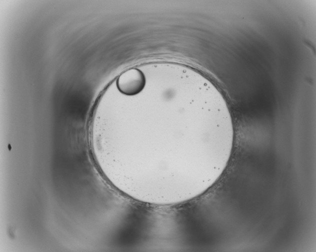 X0000100491514200806130744