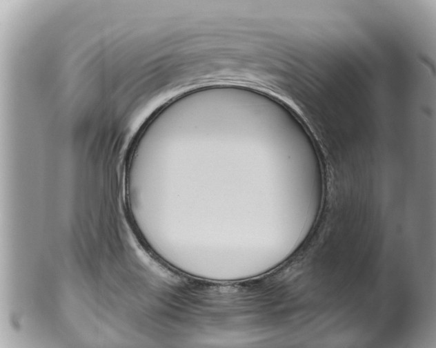 X0000100491515200806130744