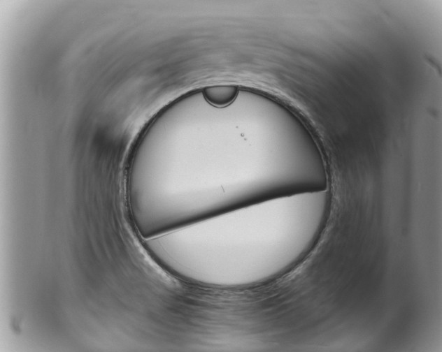 X0000100491517200806130744
