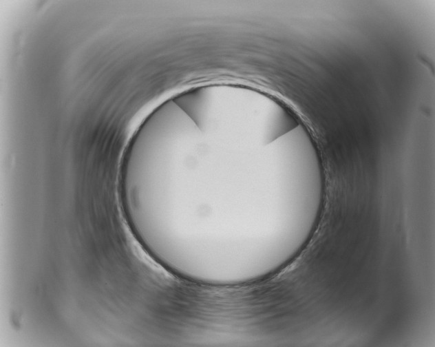 X0000100491518200806130744