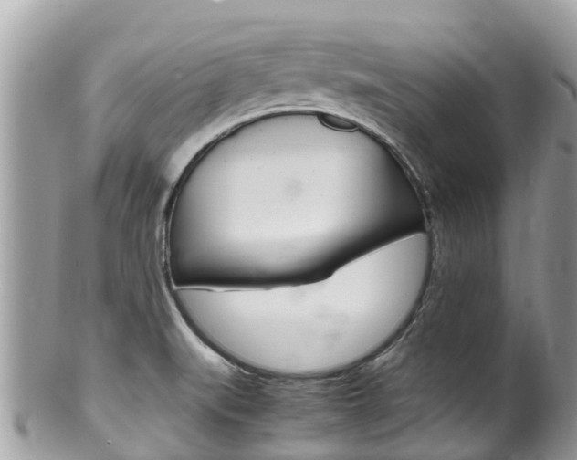 X0000100491519200806130744