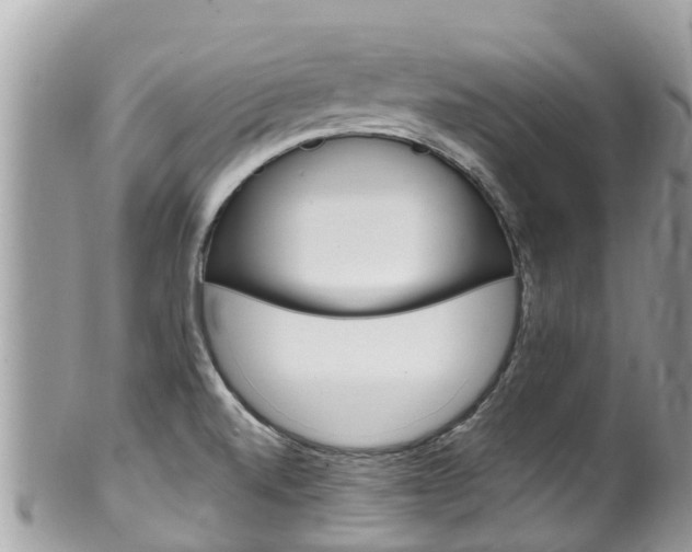 X0000100491520200806130744