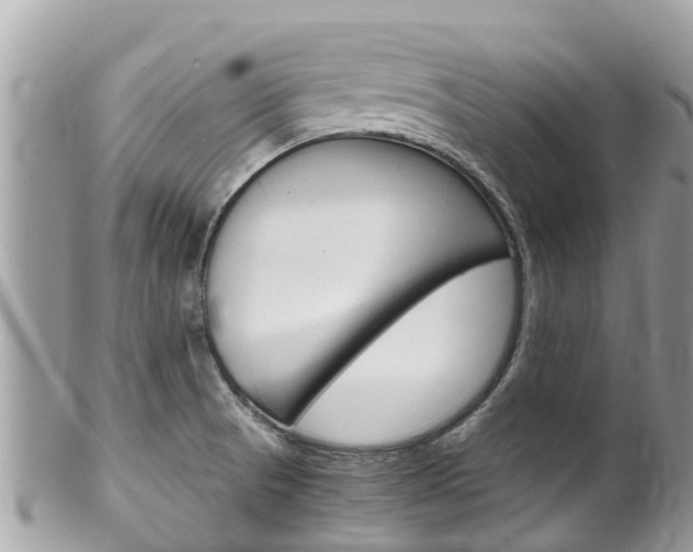 X0000100491521200806130744
