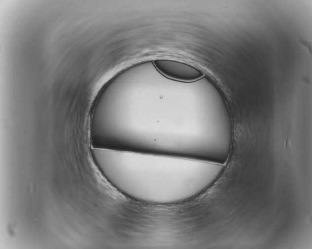 X0000100491522200806130744
