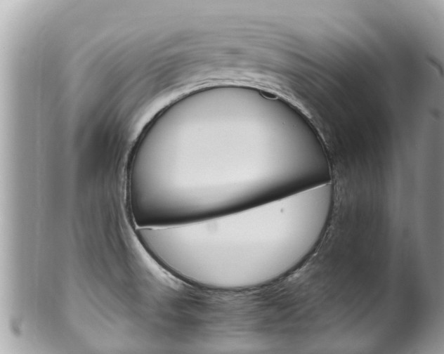 X0000100491523200806130744