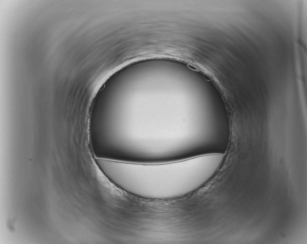 X0000100491524200806130744