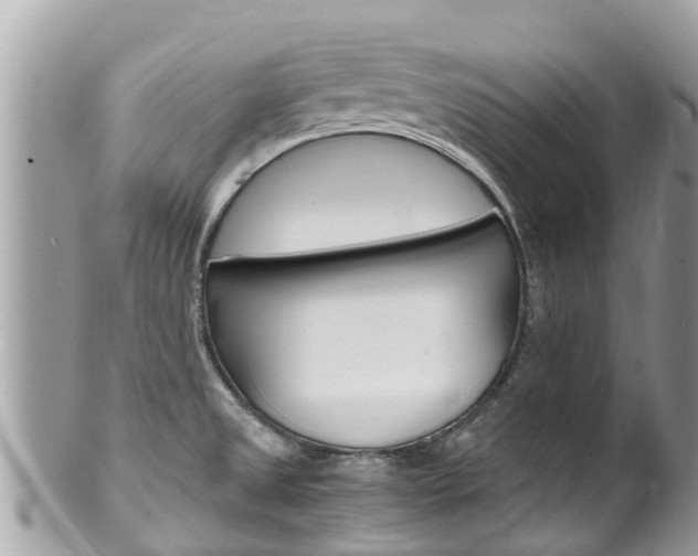 X0000100491525200806130744