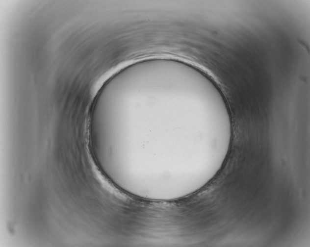 X0000100491526200806130744