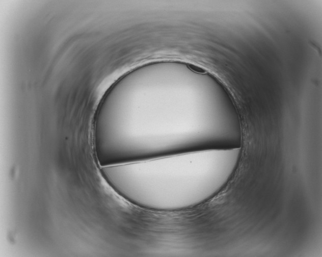 X0000100491527200806130744