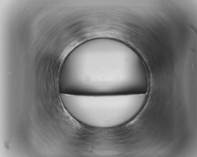 X0000100491529200806130744