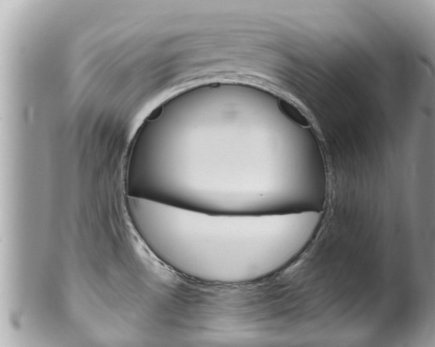 X0000100491530200806130744