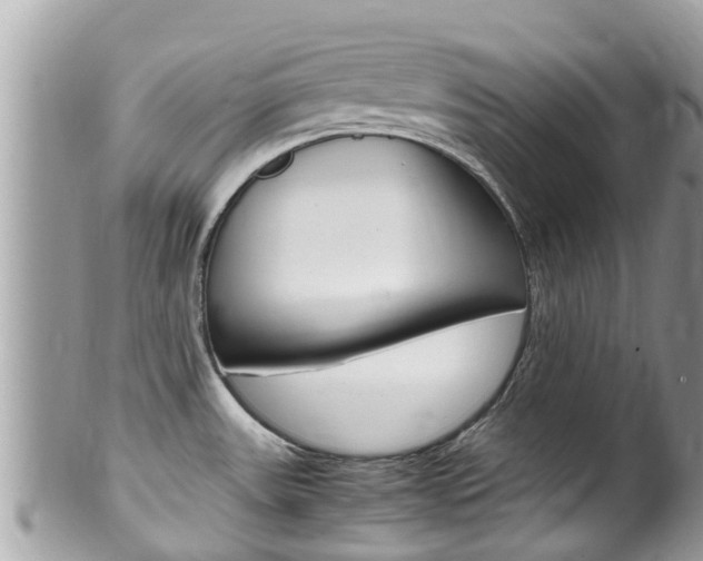 X0000100491531200806130744