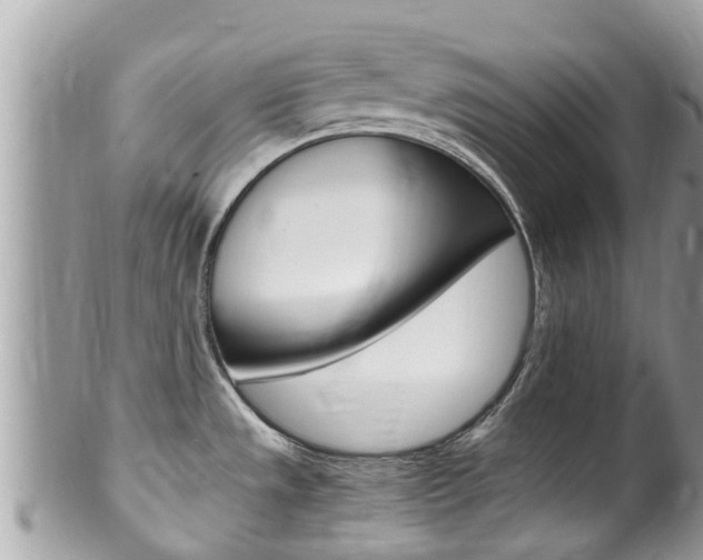 X0000100491533200806130744