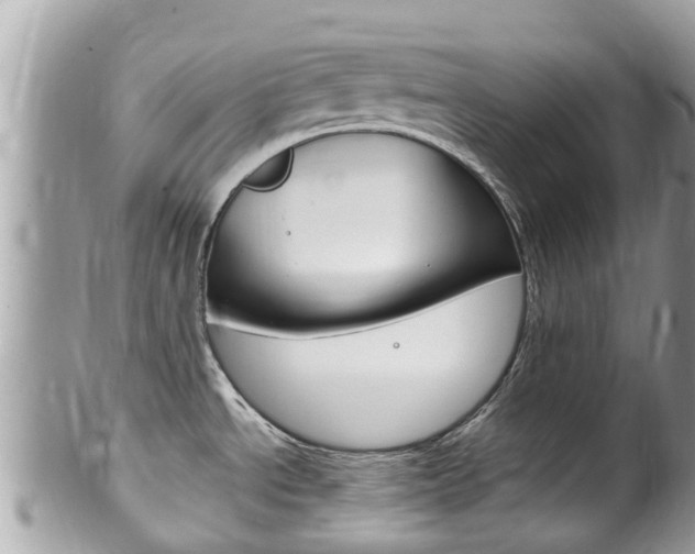 X0000100491534200806130744