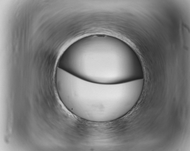 X0000100491536200806130744