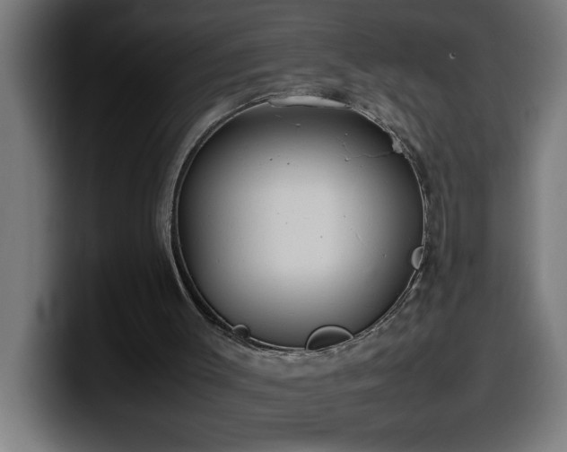 X0000100490003200806131259