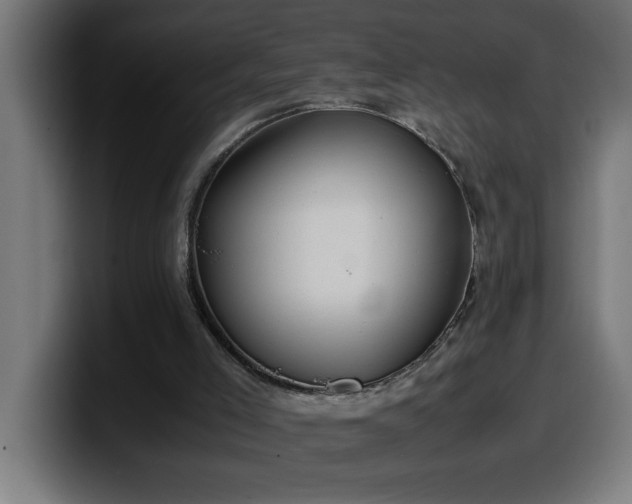 X0000100490005200806131259