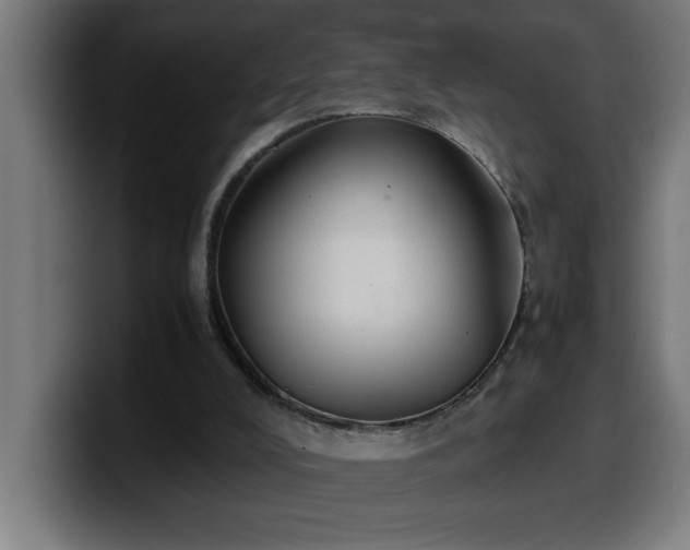 X0000100490008200806131259