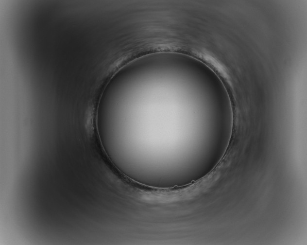 X0000100490009200806131259