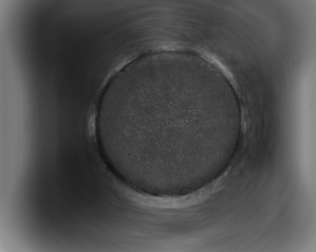 X0000100490010200806131259