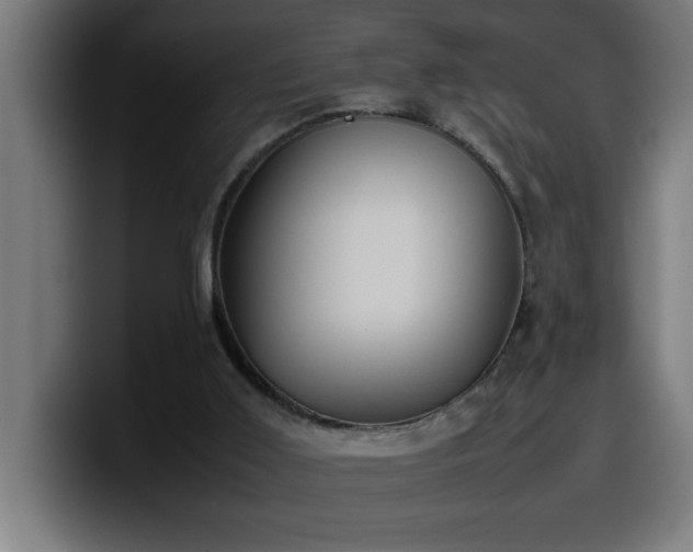 X0000100490011200806131259