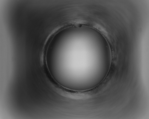 X0000100490012200806131259