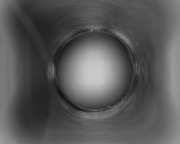 X0000100490013200806131259