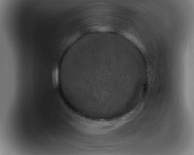 X0000100490014200806131259