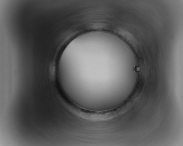 X0000100490016200806131259